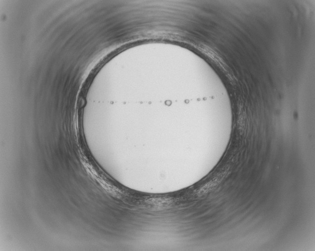 X0000052610888200507221656