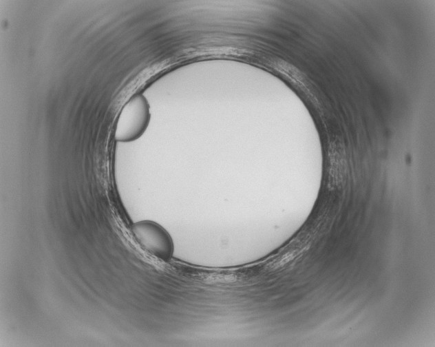 X0000052610890200507221656