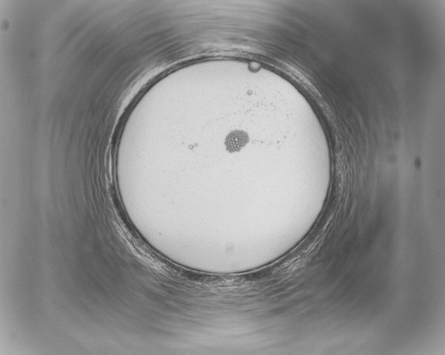 X0000052610891200507221656