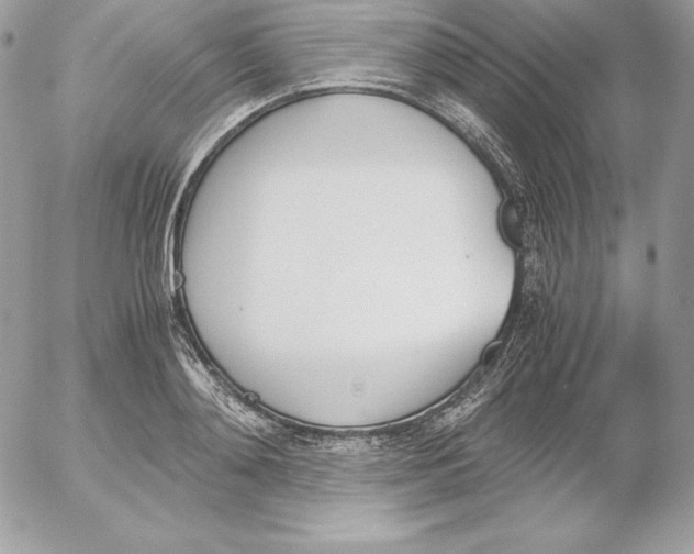 X0000052610892200507221656