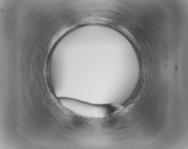 X0000052610893200507221656