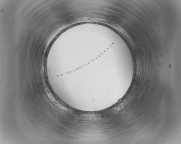 X0000052610896200507221656