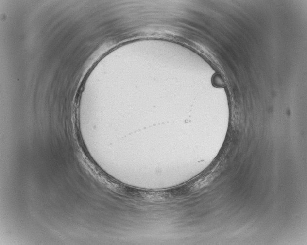 X0000052610899200507221656