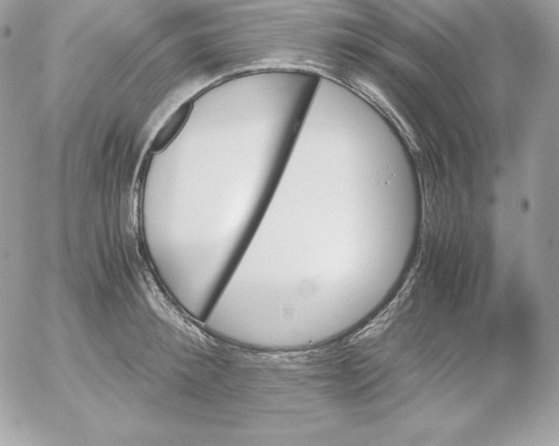 X0000052610900200507221656