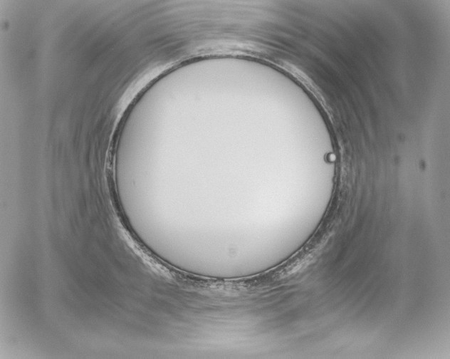 X0000052610901200507221656