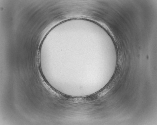 X0000052610903200507221656