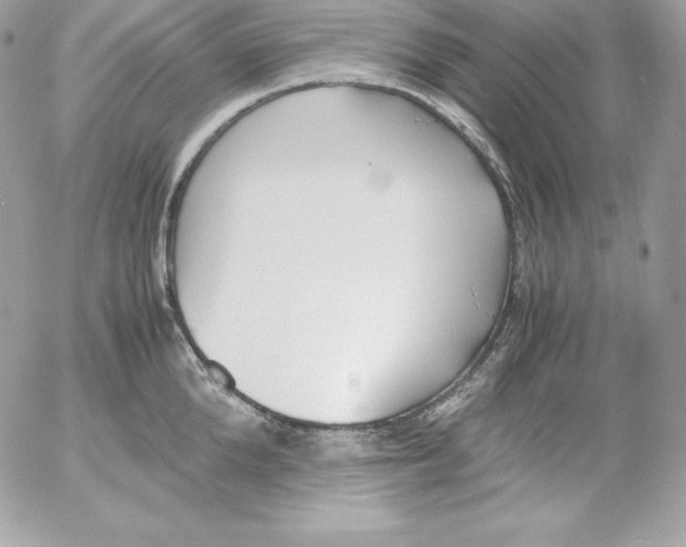 X0000052610904200507221656