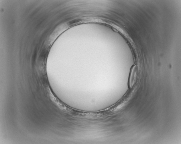 X0000052610905200507221656