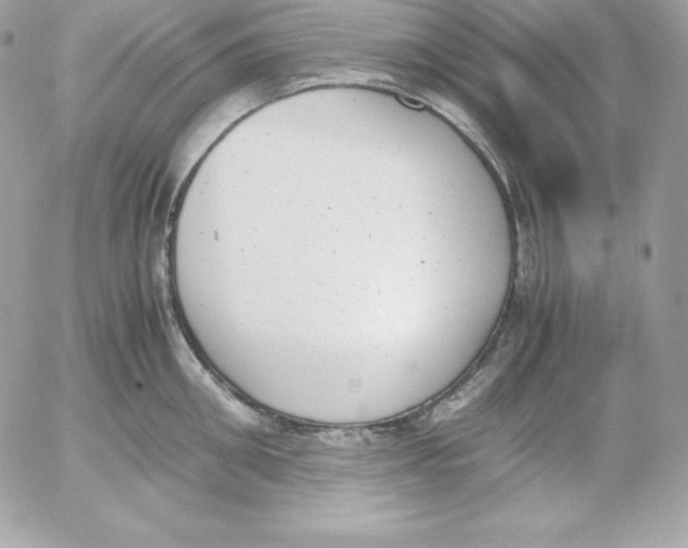 X0000052610906200507221656