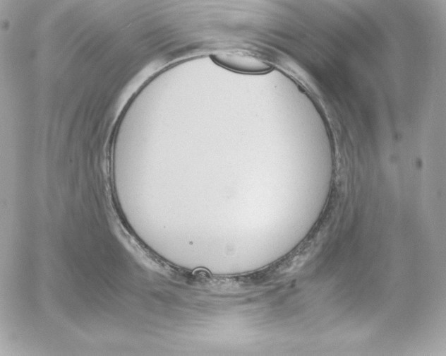 X0000052610907200507221656