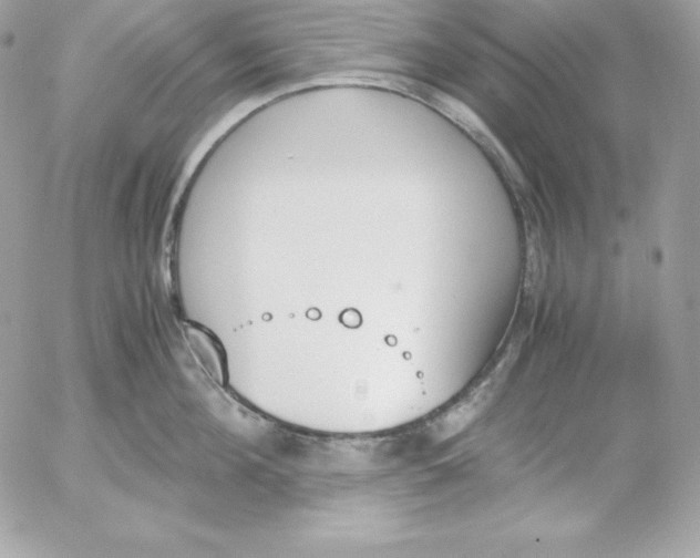 X0000052610908200507221656