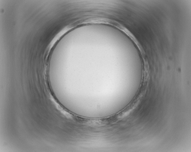 X0000052610909200507221656