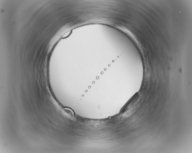 X0000052610910200507221656