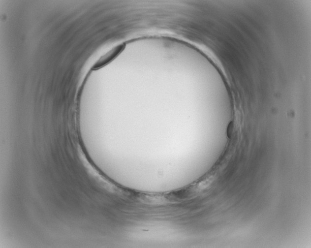 X0000052610911200507221656