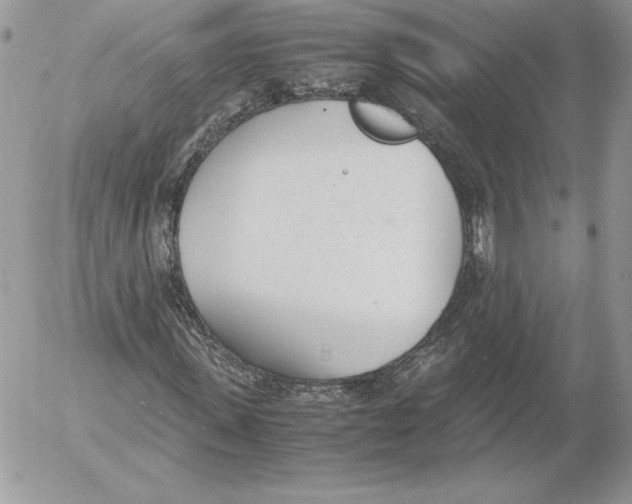 X0000052610915200507221655