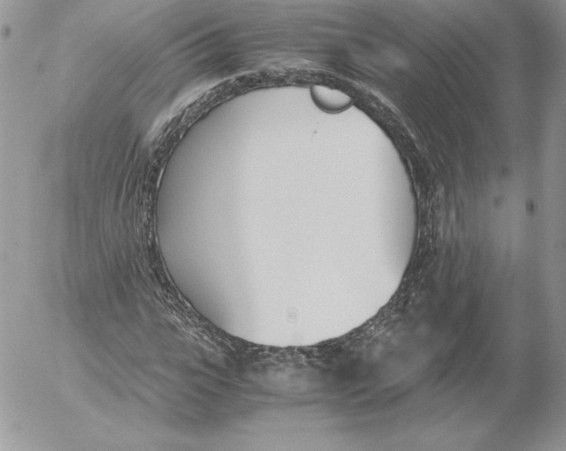 X0000052610919200507221655