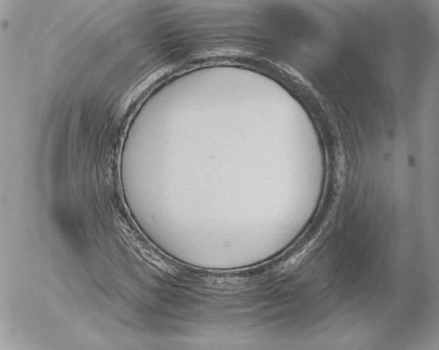 X0000052610921200507221655