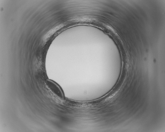 X0000052610922200507221655