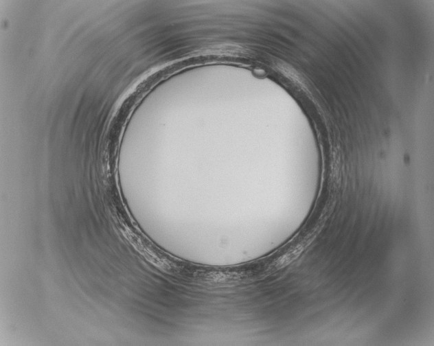 X0000052610923200507221655