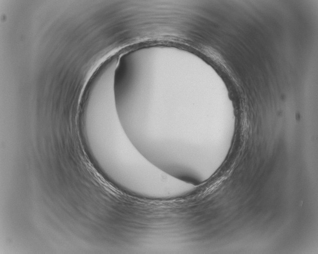 X0000052610924200507221655