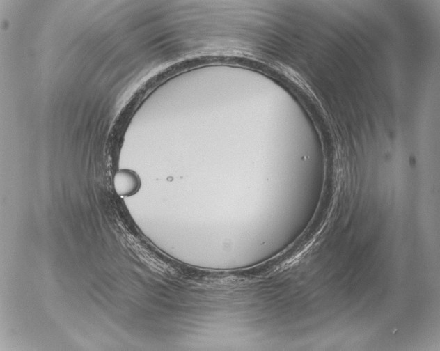 X0000052610926200507221655