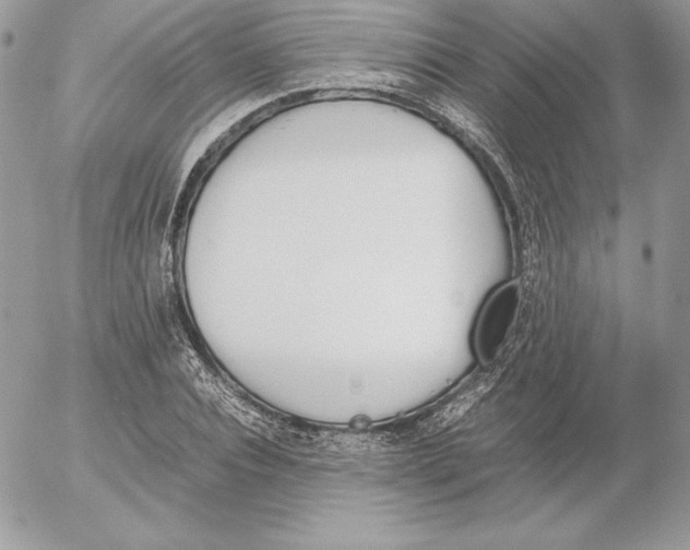 X0000052610928200507221655