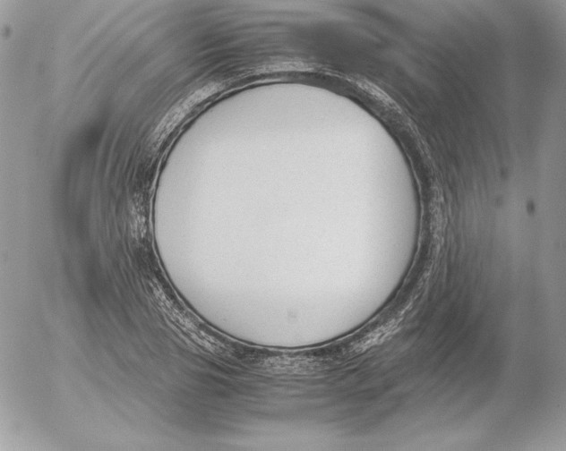 X0000052610929200507221655