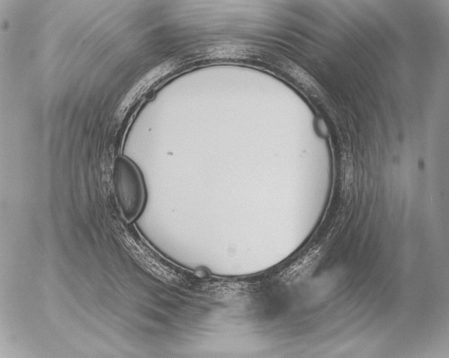 X0000052610930200507221655