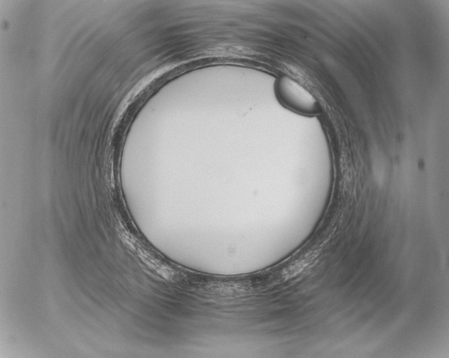 X0000052610931200507221655