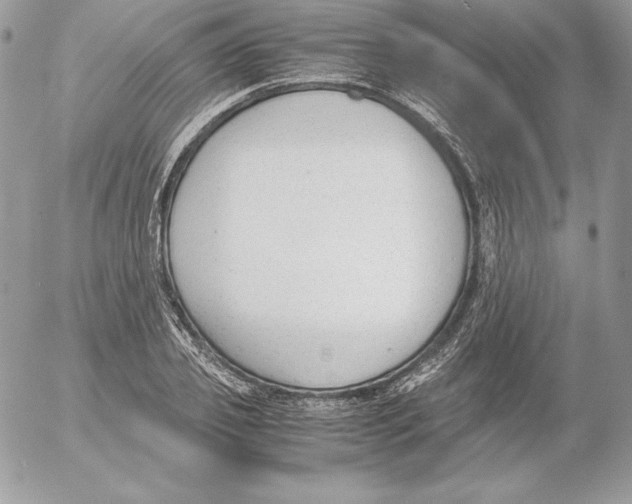 X0000052610933200507221655