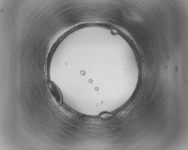 X0000052610935200507221655