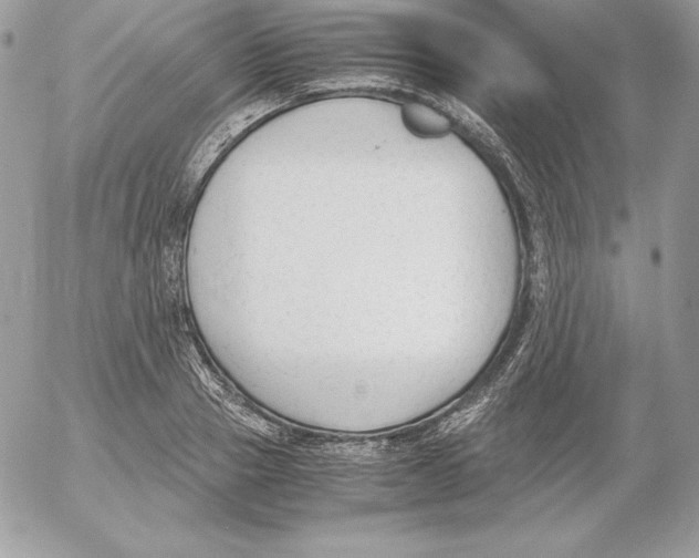 X0000052610937200507221655