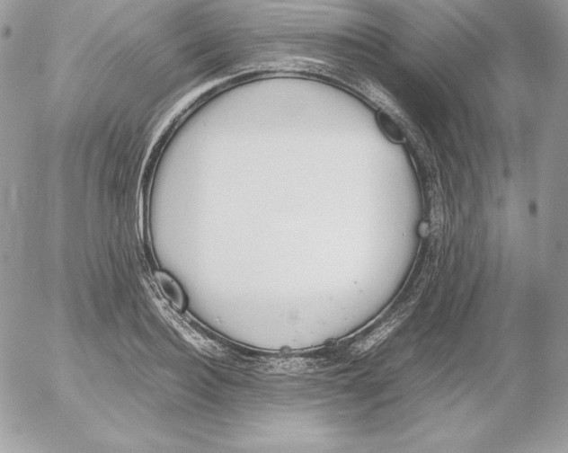 X0000052610940200507221655