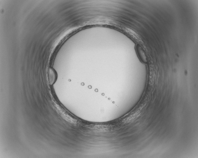 X0000052610942200507221655