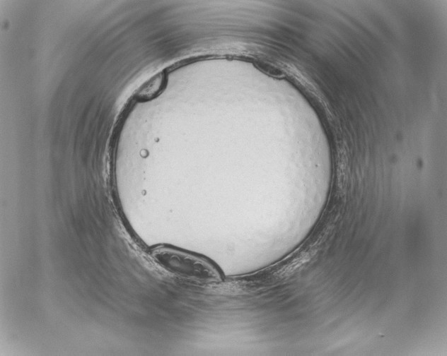 X0000052610944200507221656