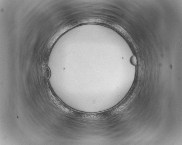 X0000052610945200507221656