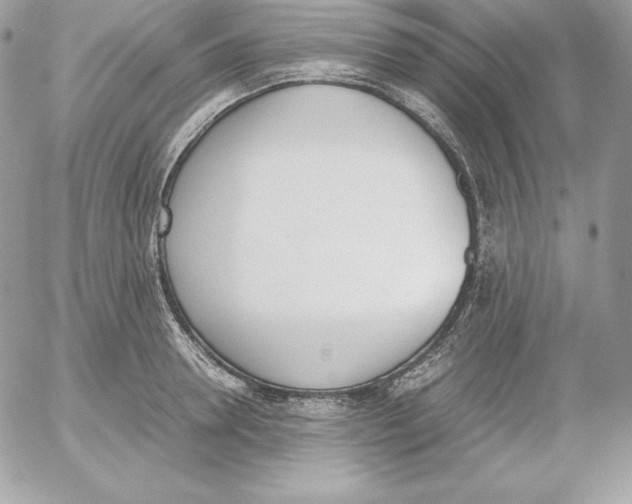 X0000052610946200507221656