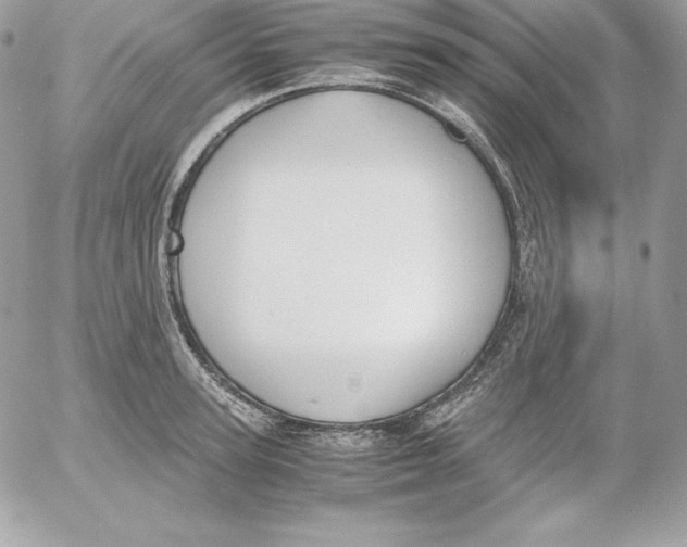 X0000052610947200507221656