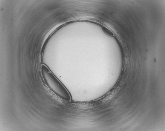 X0000052610948200507221656