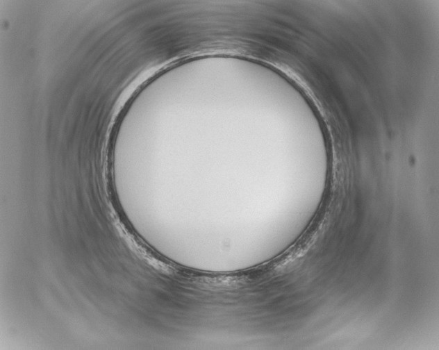 X0000052610949200507221656