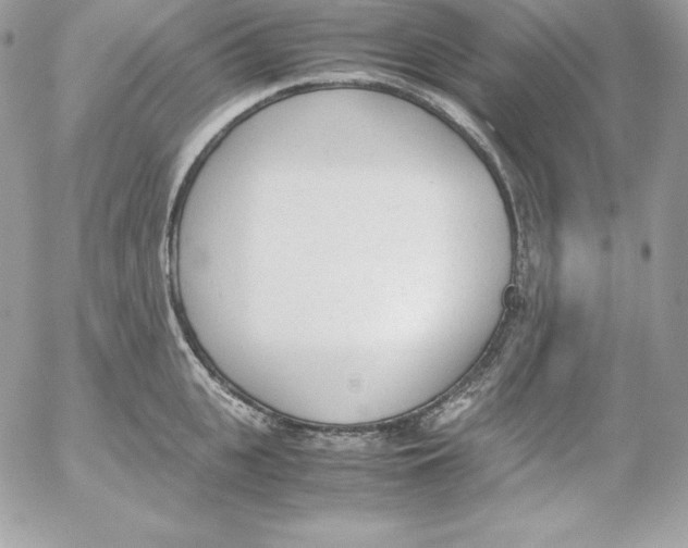 X0000052610951200507221656