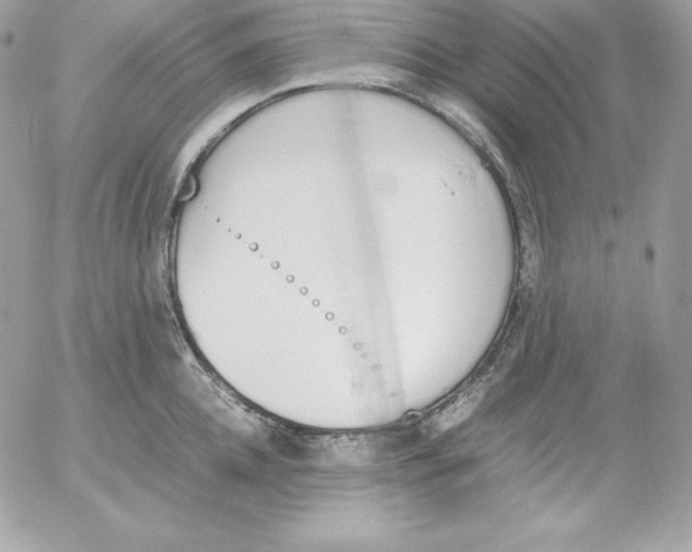 X0000052610952200507221656