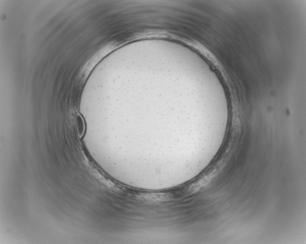 X0000052610953200507221656