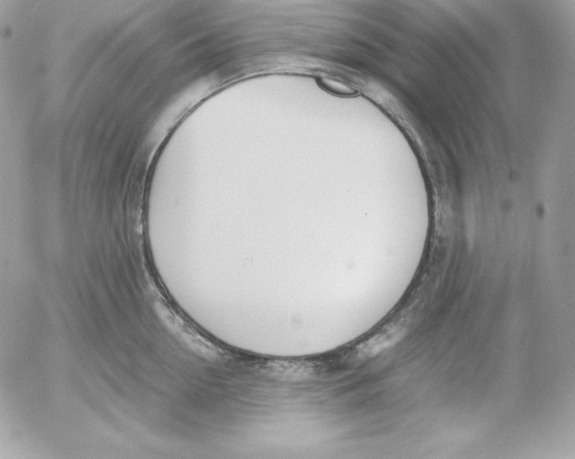 X0000052610954200507221656