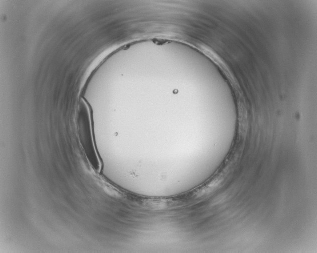 X0000052610956200507221656