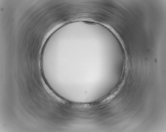 X0000052610957200507221656