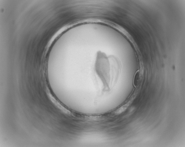 X0000052610958200507221656