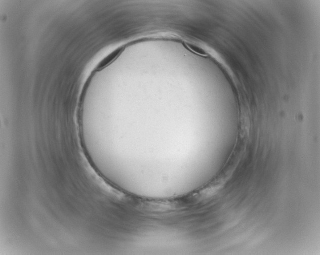 X0000052610959200507221656