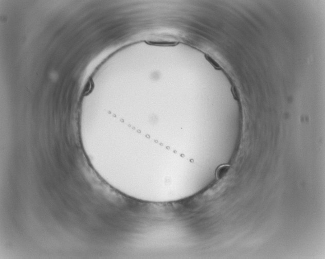 X0000052610960200507221656