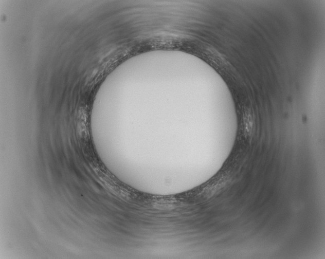 X0000052610964200507221655